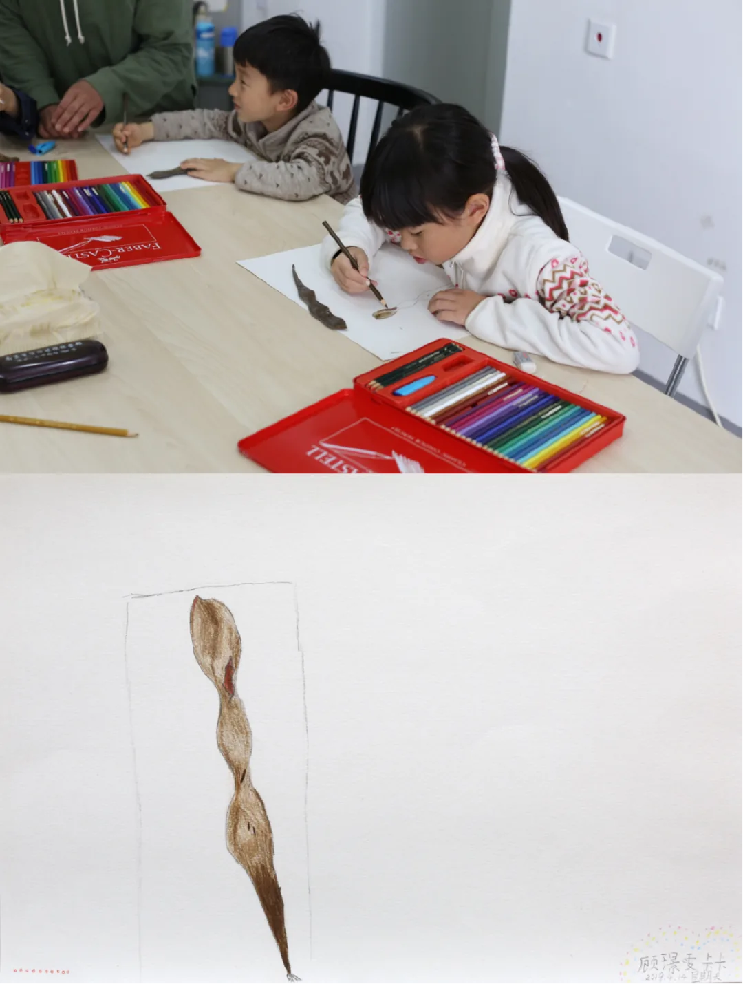 上方两个孩子坐在桌前用彩色铅笔临摹观察植物标本;下方是一幅写实描绘的细长豆荚状种子的彩铅画。