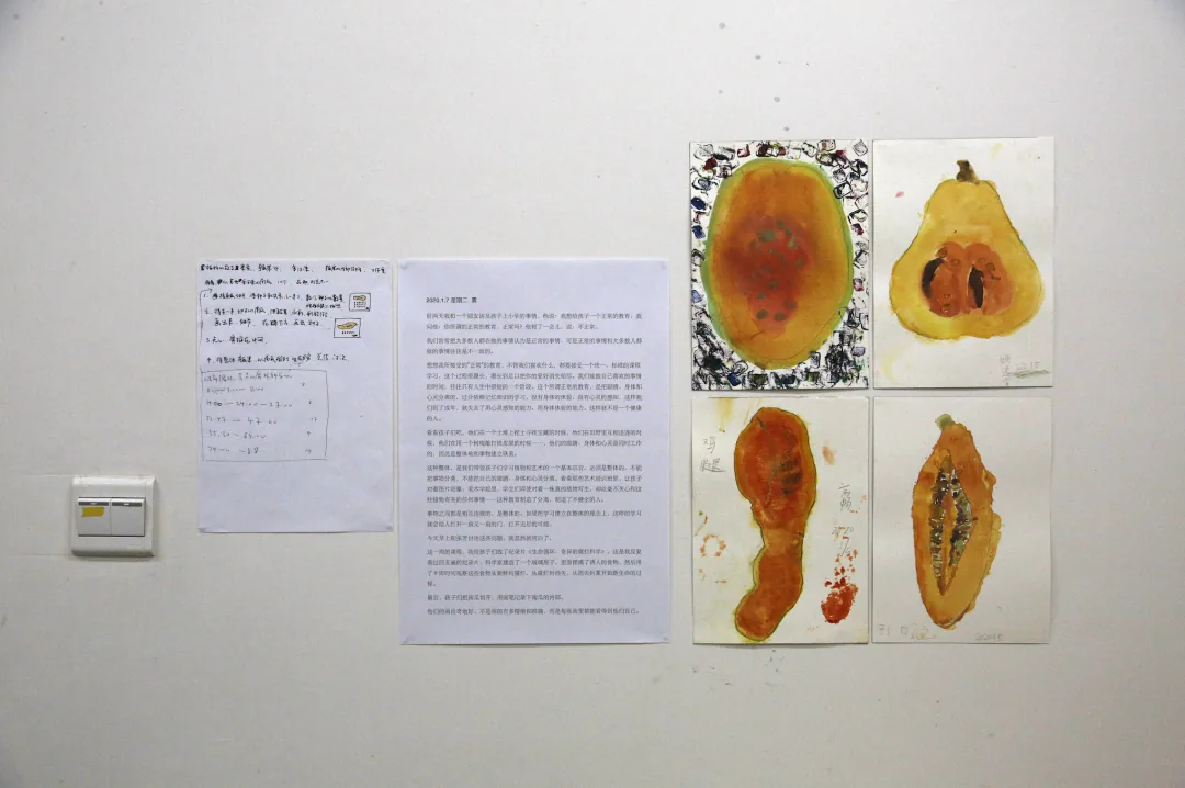 墙上展示四幅南瓜横切面水彩画,呈现橙黄果肉与瓜子截面,左侧贴着手写笔记与一张打印文字说明。