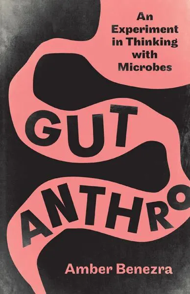 《肠道人类学》(Gut Anthro)封面,黑色底上一条粉色蜿蜒的肠道状色块,书名文字嵌于其中。作者安珀·贝内兹拉。
