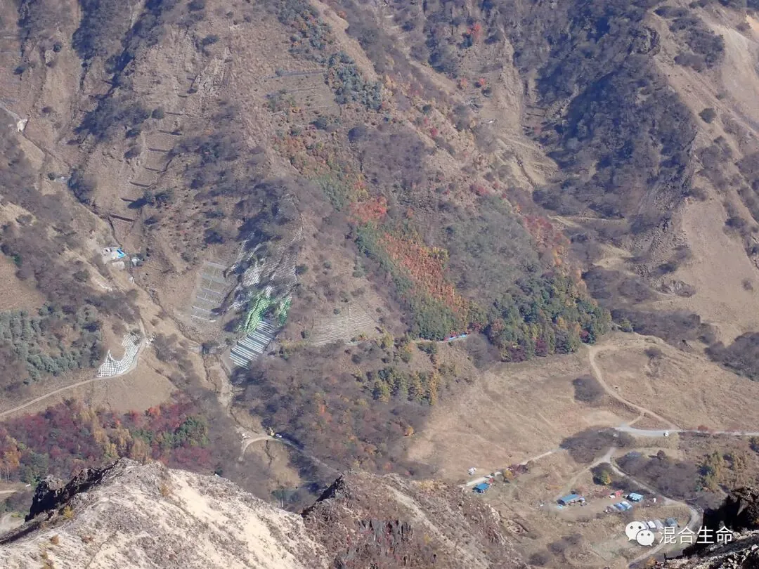 俯瞰光秃山谷,大片枯黄山坡间点缀一片黄红绿相间的秋色小树林,山脚可见几栋小屋和阶梯状种植区。