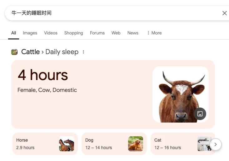 谷歌搜索“牛一天的睡眠时间”的结果页,显示“Cattle - Daily sleep:4 hours”及一头牛的照片,下方对比马、狗、猫等动物的睡眠时长。