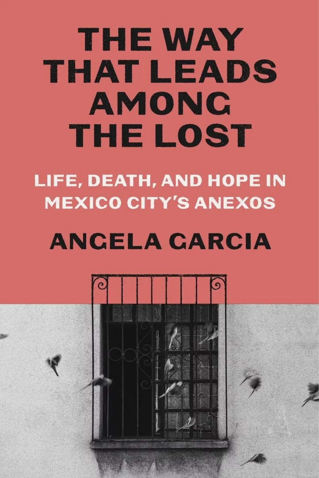 书封《The Way That Leads Among the Lost: Life, Death, and Hope in Mexico City's Anexos》,作者 Angela Garcia;上半为砖红色底配黑体书名,下半是黑白照片,铁栅窗前有数只飞鸟掠过、墙面斑驳。