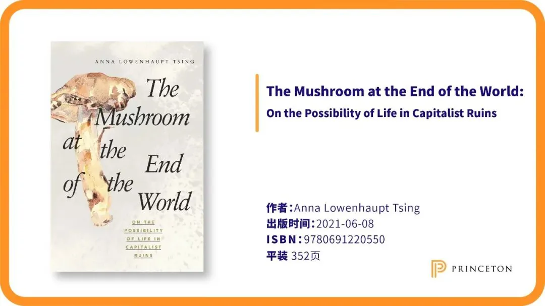 《The Mushroom at the End of the World》书封绘有一株倒置的松茸水彩画,配文标明作者 Anna Lowenhaupt Tsing,2021年6月出版,平装352页。