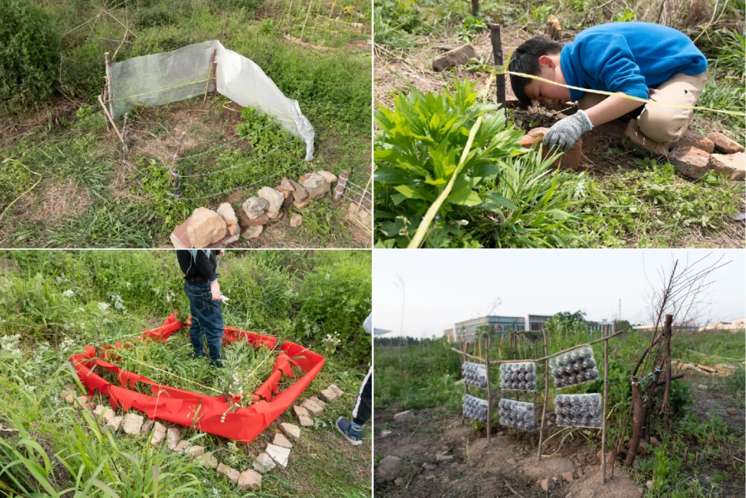 四宫格照片:孩子们用不同材料搭建一平方米土地的围墙——塑料布棚加石块、绳子丈量与砖块角桩、红布围栏站人其中、以及蛋托拼成的网格围栏。