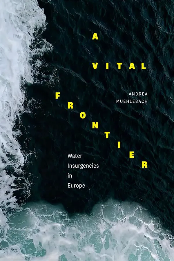 《生死前线》(A Vital Frontier)封面,深色海岸线航拍照片上叠印黄色书名和白色副标题“Water Insurgencies in Europe”,浪花拍打礁石。作者安德莉亚·穆拉巴克。