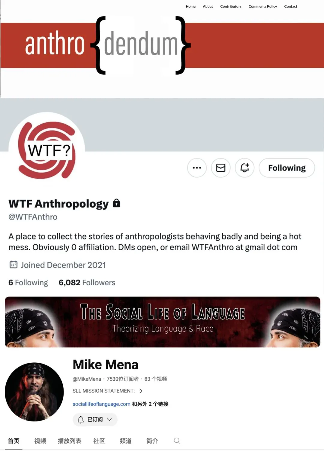 三张网站截图纵向拼接:anthro{dendum}博客首页横幅;WTF Anthropology推特主页,简介为收集人类学家行为不端的趣闻,头像为黑白漩涡状问号图案;Mike Mena的油管频道页,头图为《The Social Life of Language》,显示7530位订阅者。