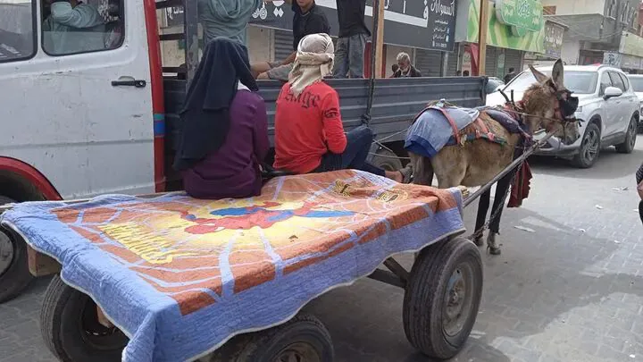 加沙街头,一辆驴车上铺着彩色被褥并载着几名乘客,路边停着卡车与轿车。