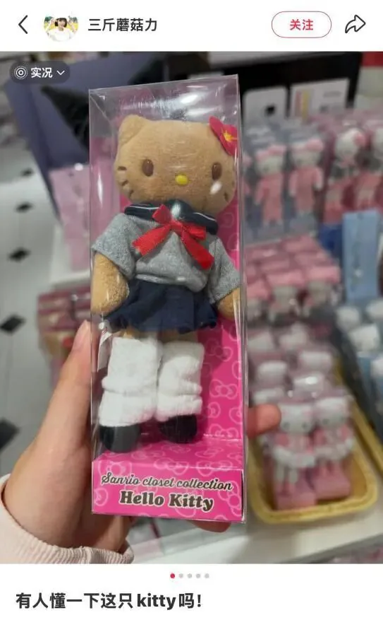 小红书截图,一只手举着包装盒中的棕毛凯蒂猫玩偶,玩偶身穿灰色水手服、藏青色短裙、白色腿套,配文写道“有人懂一下这只kitty吗!”