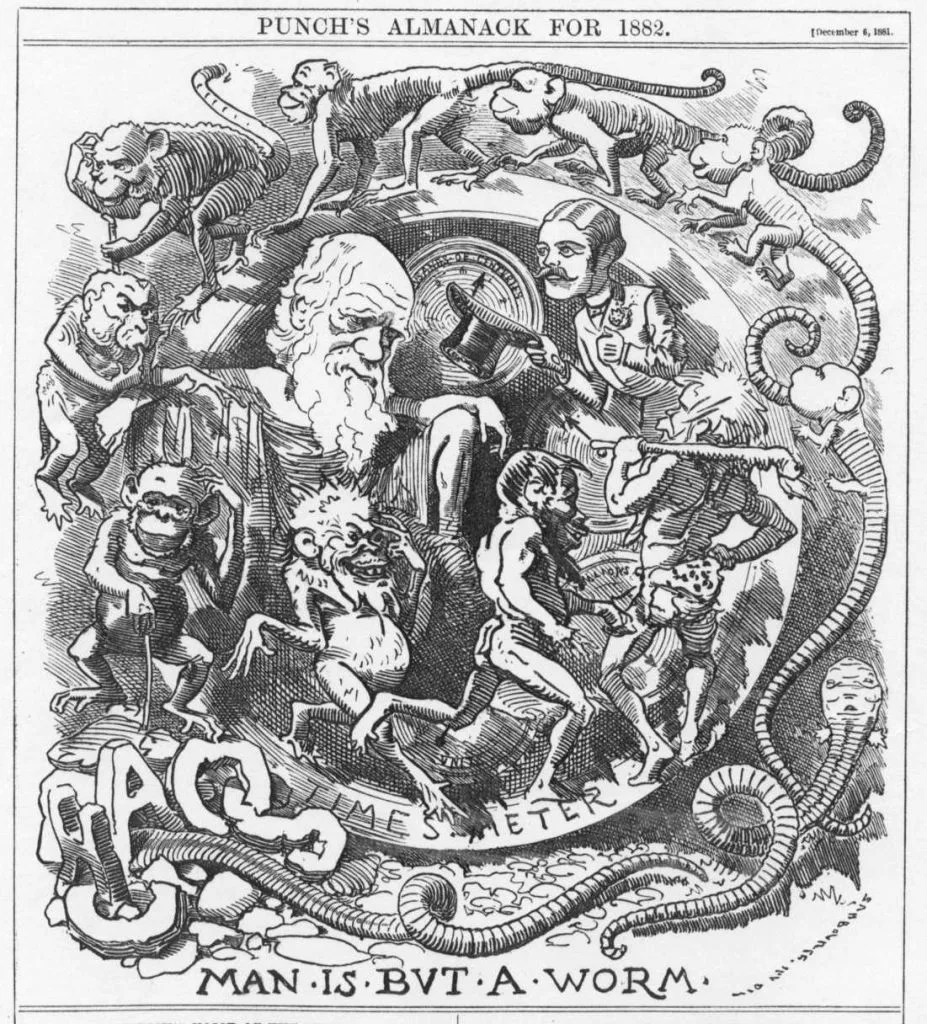 老版画,标题“Man is but a worm”,画面呈环形演化序列:蠕虫、猿猴逐渐变为达尔文式蓄须老者,再到戴礼帽的绅士,四周环绕多只猴子,底部蠕虫盘绕成文字,顶部印有《Punch's Almanack for 1882》字样。
