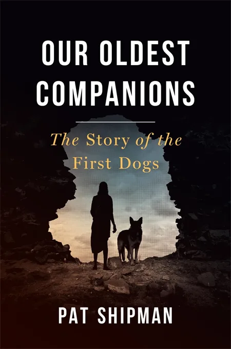 《我们的挚友》(Our Oldest Companions: The Story of the First Dogs)封面,作者帕特·希普曼(Pat Shipman)。黑色背景中一个洞穴状镂空里,人与狗的剪影并肩站立,远处是黄昏天空。