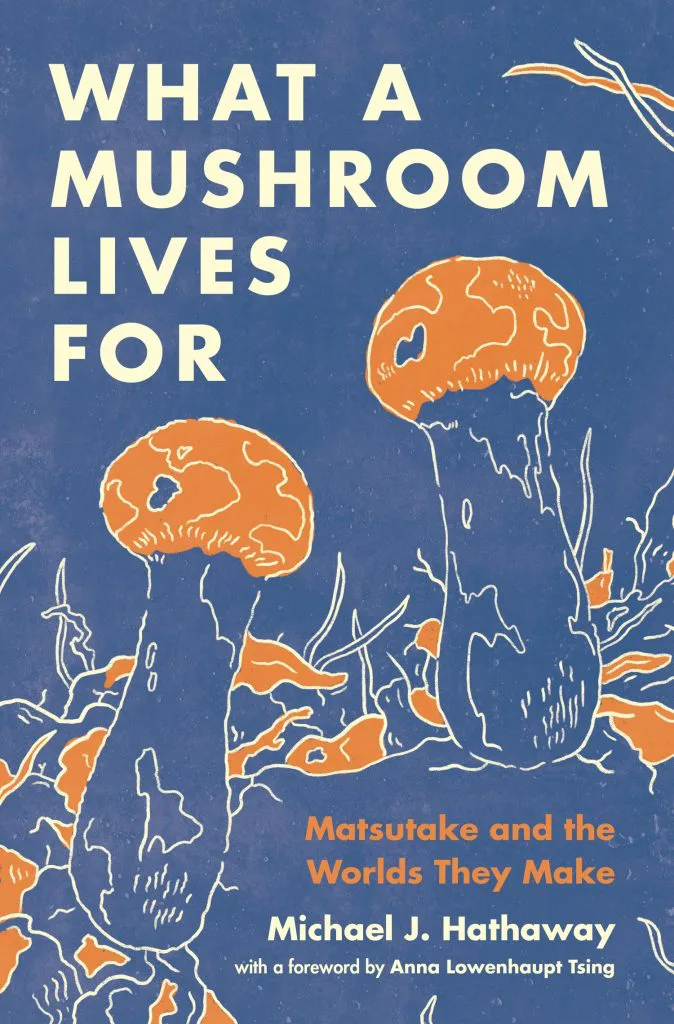 书封《What a Mushroom Lives For: Matsutake and the Worlds They Make》(蘑菇为何而活),作者迈克尔·哈瑟韦,深蓝底版画风格插图,画着两株橙色松茸。