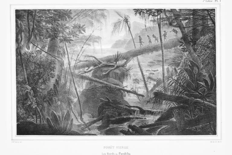黑白版画描绘热带雨林景象,茂密植被环绕一条倒伏的树干横跨溪流,几个人影手持长杆一字排开走过树干便桥,远处云雾笼罩山峦。