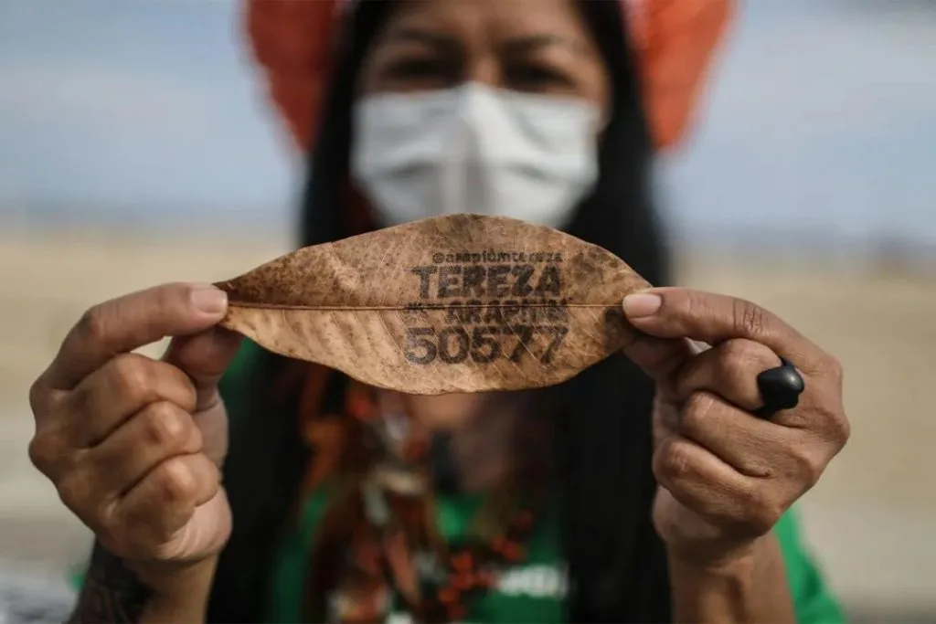 一位戴口罩、扎红头巾的女性手持一片干树叶,叶片上写有'TEREZA ARAPIUM 50577'字样,即她的竞选姓名与编号。