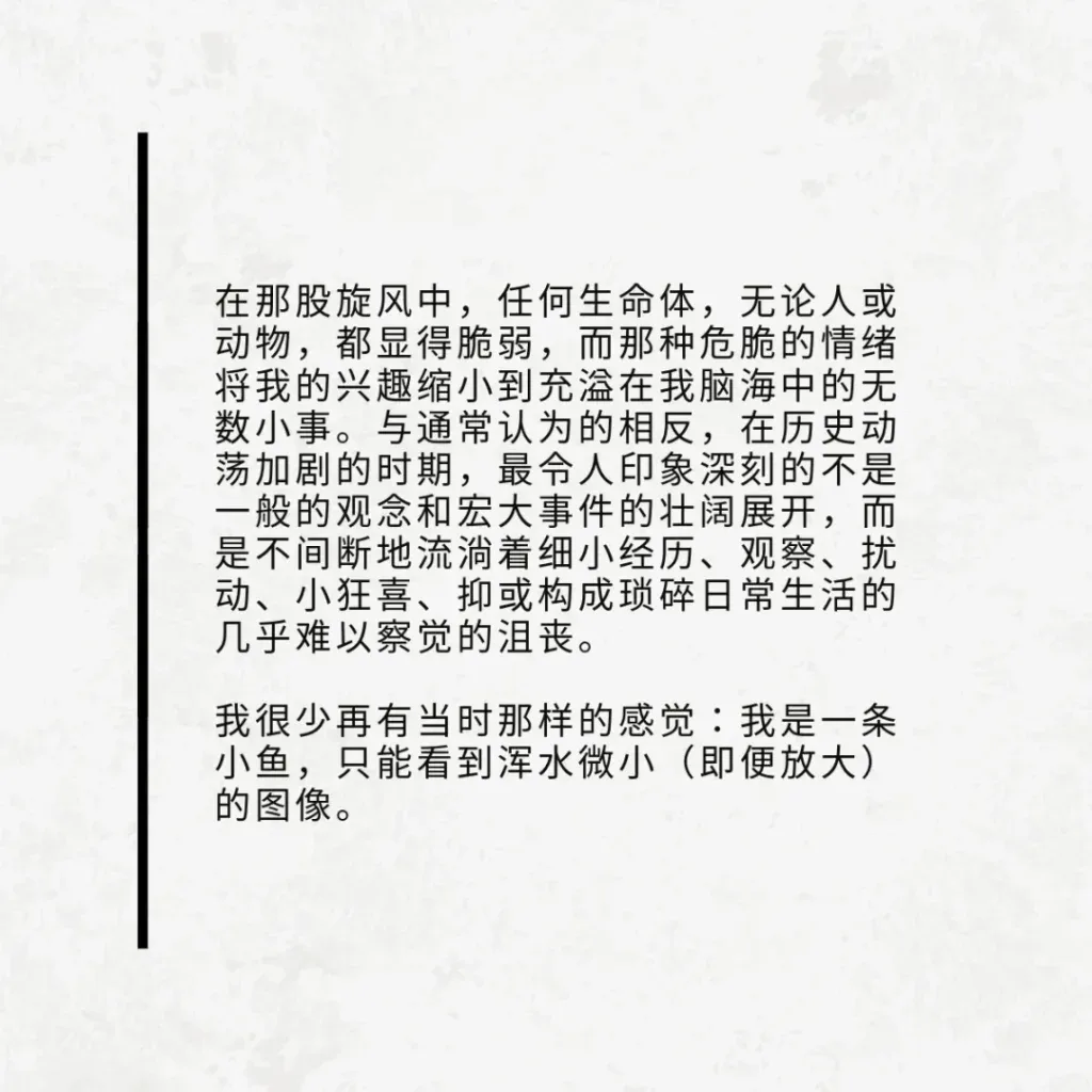 浅色纹理背景左侧配黑色竖线装饰,引文写道:在旋风中任何生命都显得脆弱,历史动荡中最深刻的不是宏大事件,而是琐碎日常中不易察觉的细小经历;我很少再有当时那种感觉——自己是一条只能看到浑水微小图像的小鱼。
