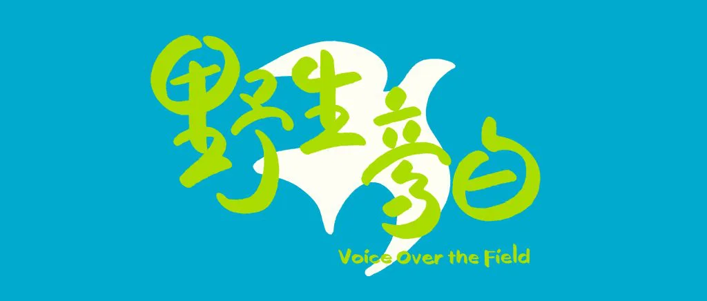 「野生旁白」项目视觉海报,天蓝色背景上是白色鸽子剪影,绿色手写字体写着“野生旁白”,下方英文“Voice Over the Field”。