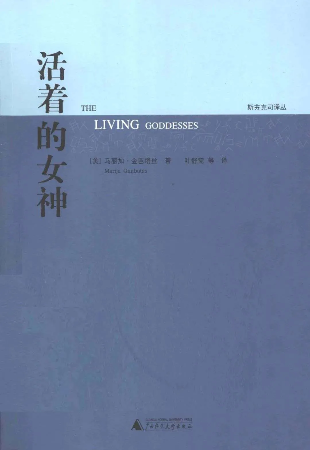 灰蓝色简约封面,书名与译者信息居左排列,右上角背景隐约印有浅色符号图案。
