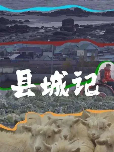 海报分三层画面:上层是海边礁石滩,中层是县城民房与驾驶红色农用车的人,下层是一群羊,白色大字“县城记”叠加在画面中央。